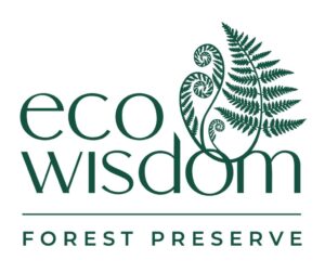 ecowisdom logo 3 1024x861